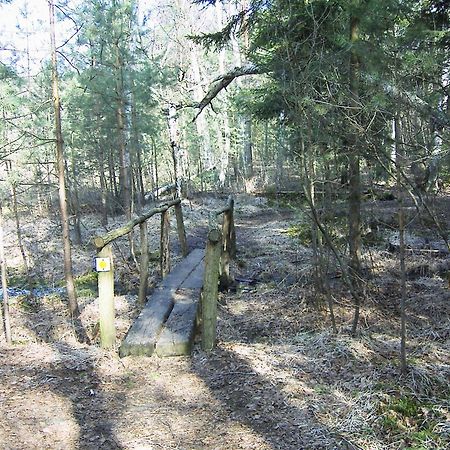 Fewoamglubigsee Wendisch Rietz Esterno foto