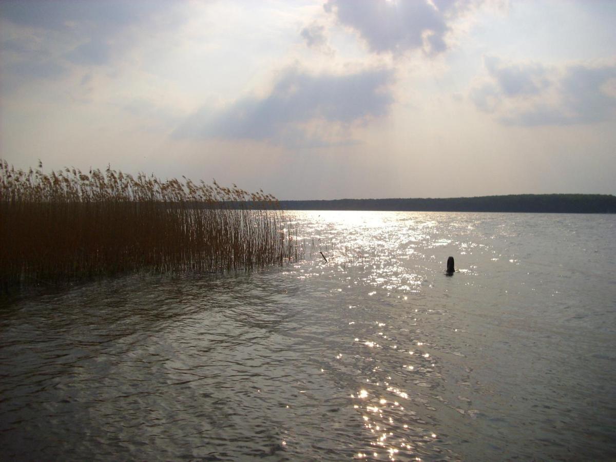 Fewoamglubigsee Wendisch Rietz Esterno foto