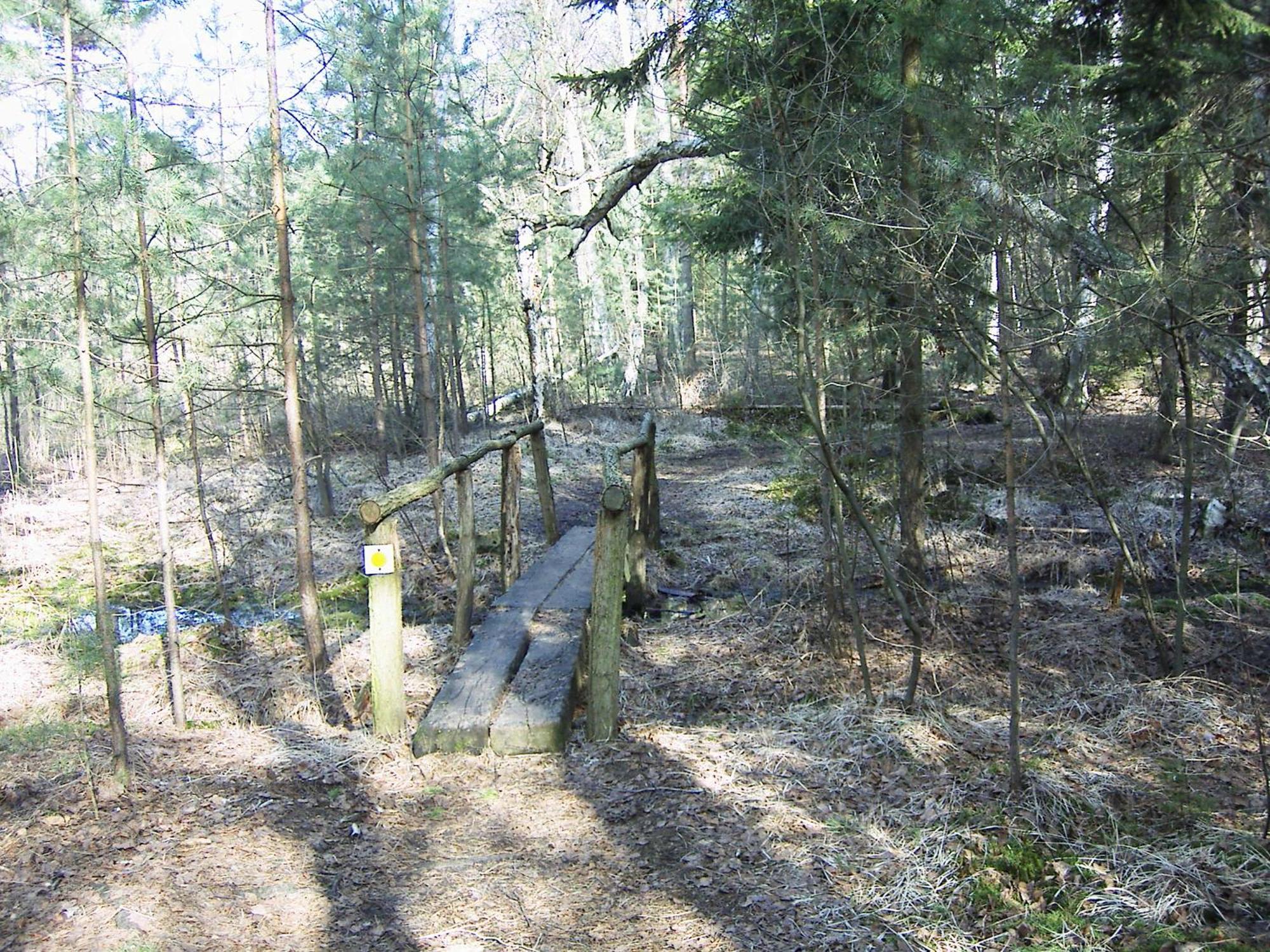 Fewoamglubigsee Wendisch Rietz Esterno foto