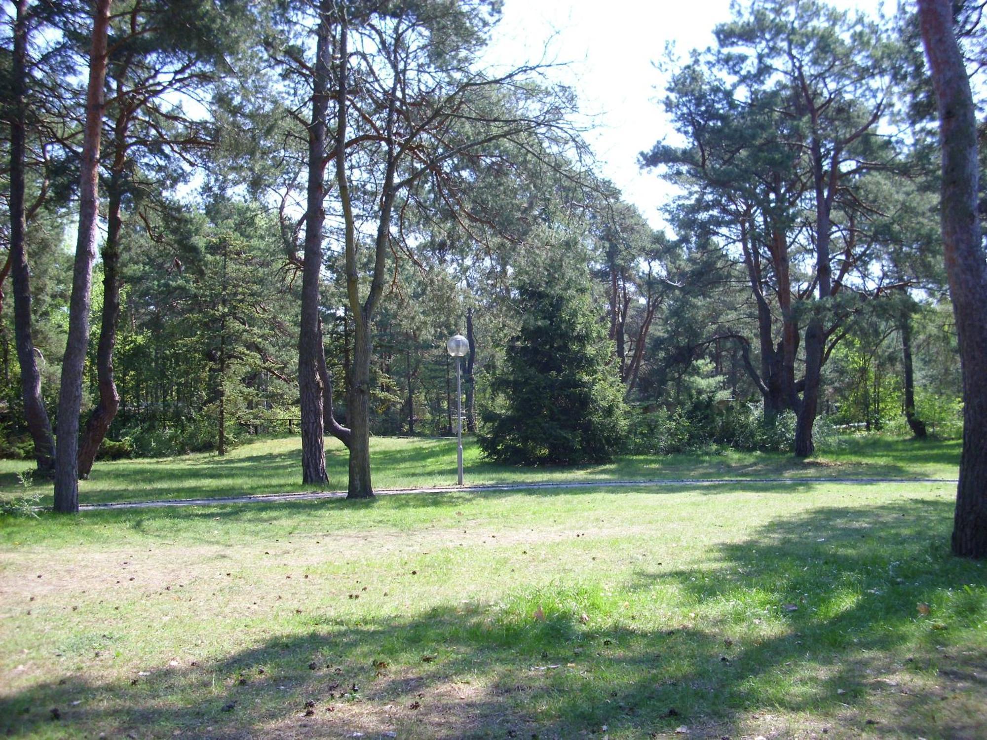 Fewoamglubigsee Wendisch Rietz Esterno foto