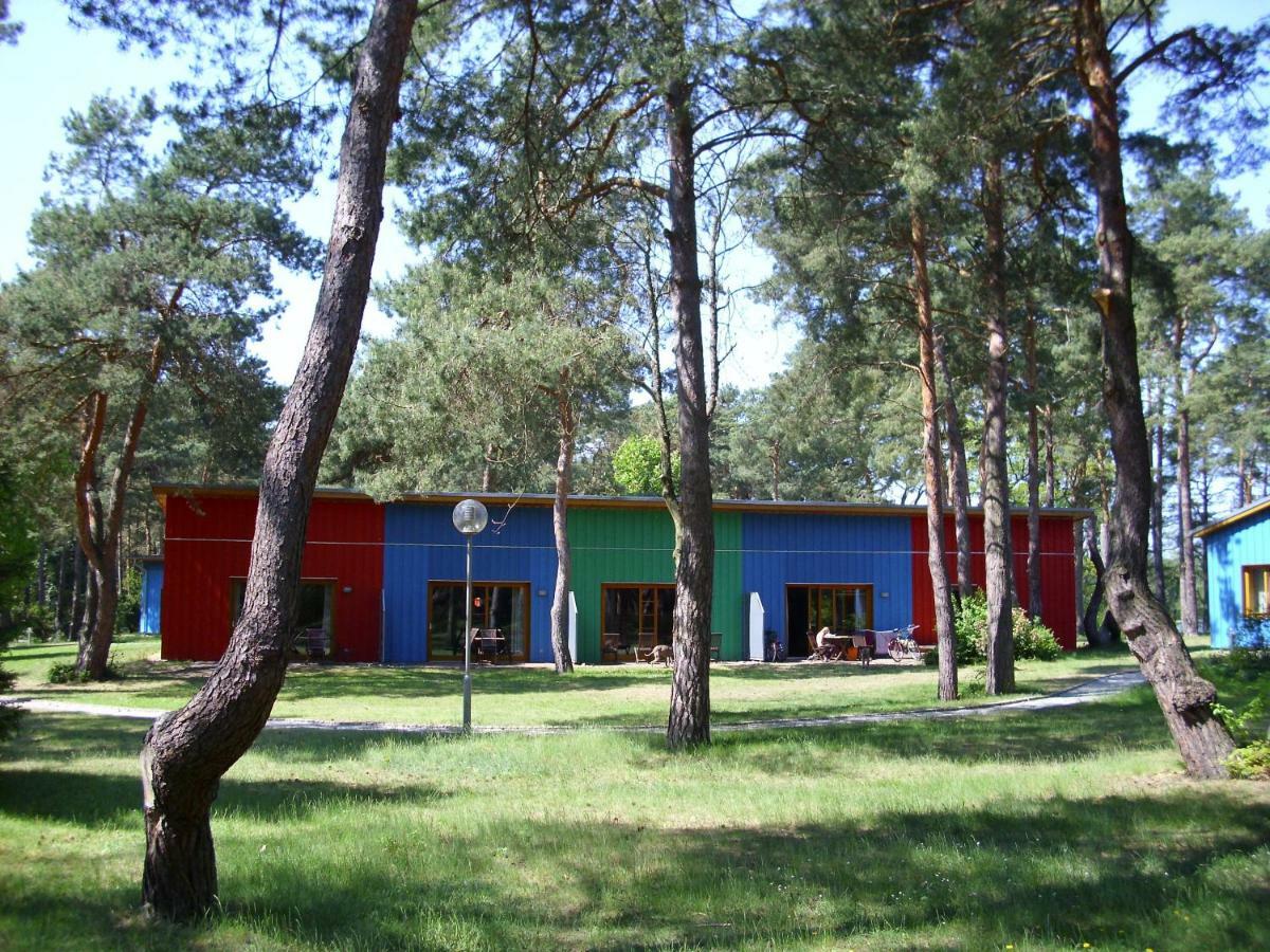 Fewoamglubigsee Wendisch Rietz Esterno foto