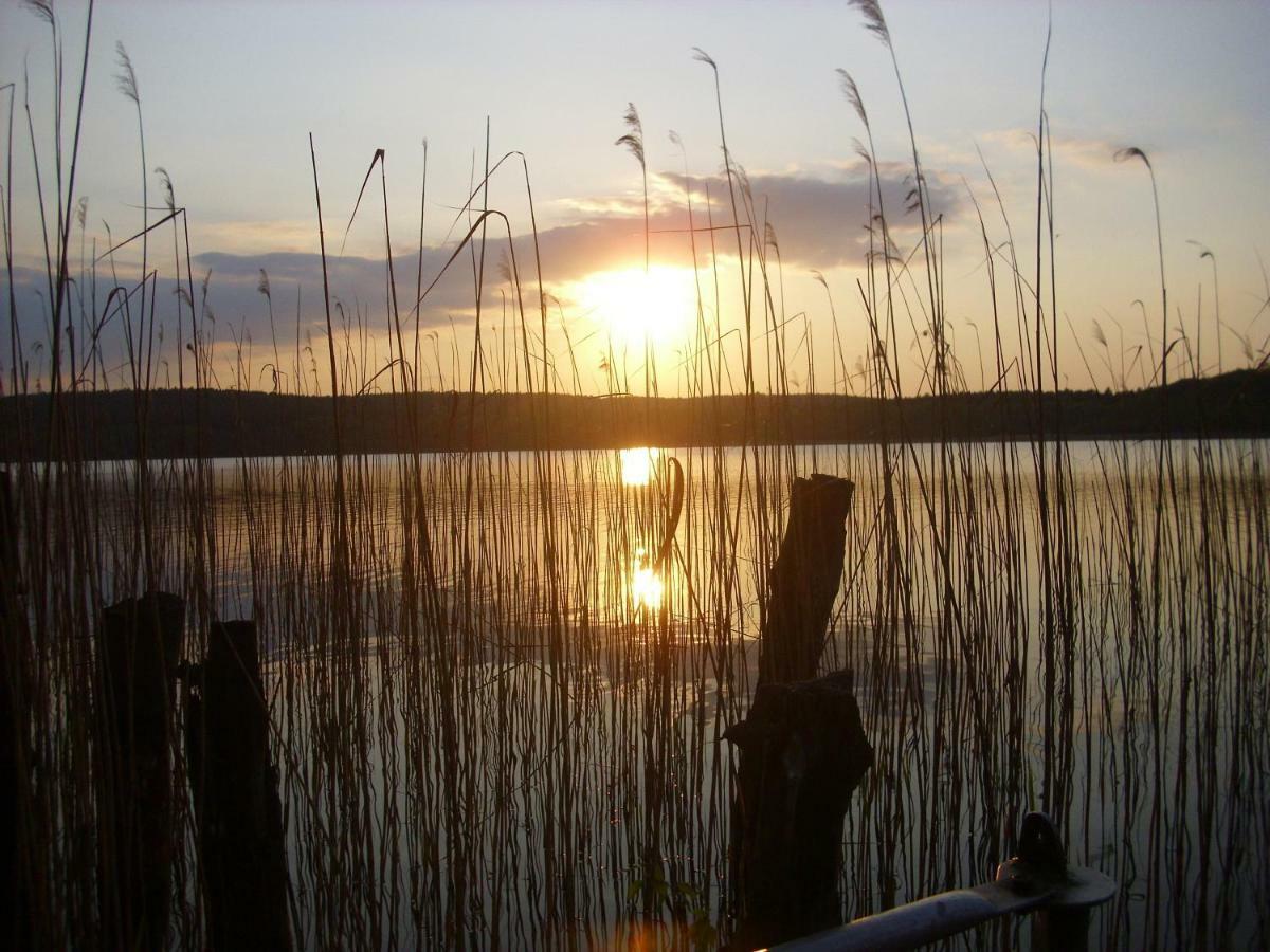 Fewoamglubigsee Wendisch Rietz Esterno foto